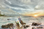 Click for FULLVIEW !