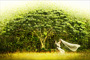 Click for FULLVIEW !